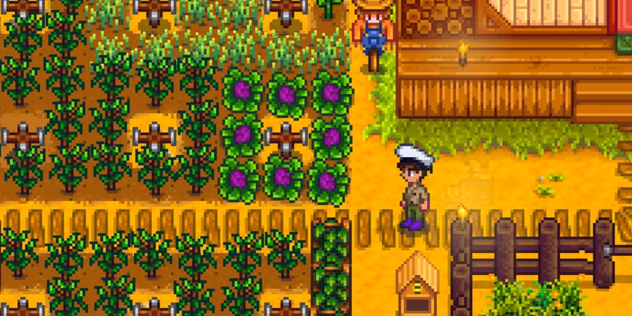 the-unbeatable-stardew-valley-forest-farm-a-blueprint-for-effortless-prosperity-in-2026-image-3