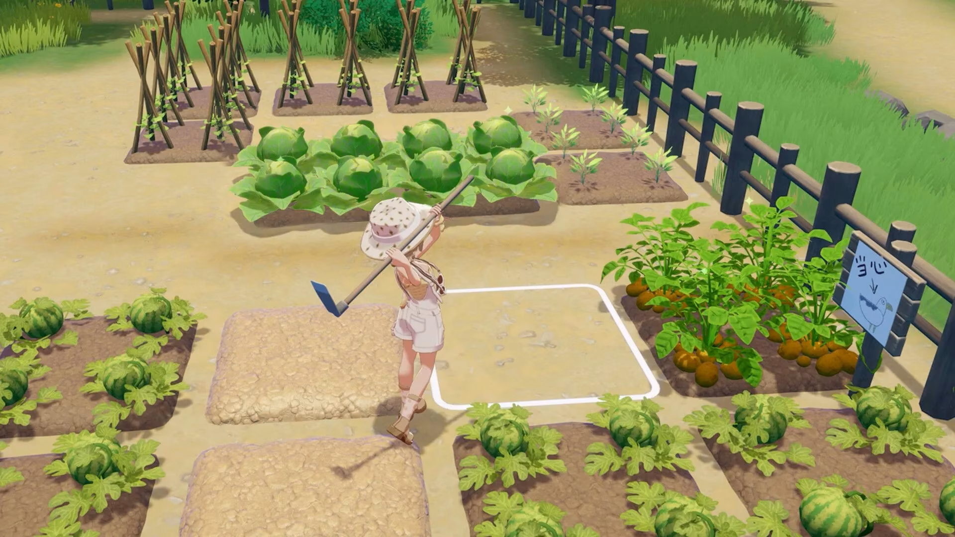 my-journey-to-starsand-island-image-2